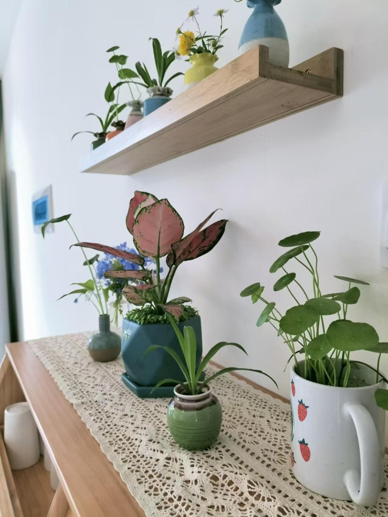 Qingcheng Mountain Huakai Shiminsu 호텔 두장옌 외부 사진
